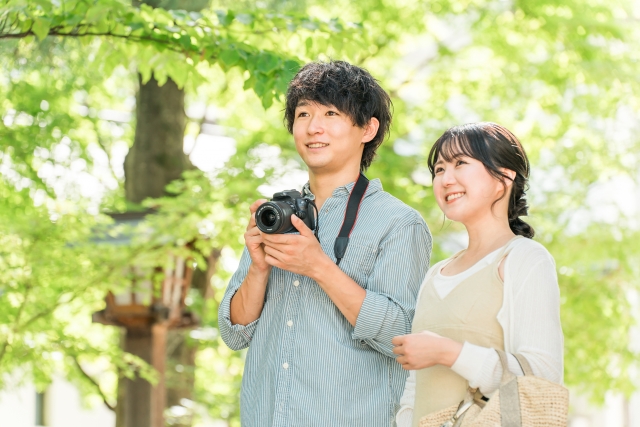 生理不順:このような効果が期待できます