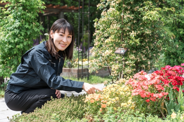 依存症:このような効果が期待できます